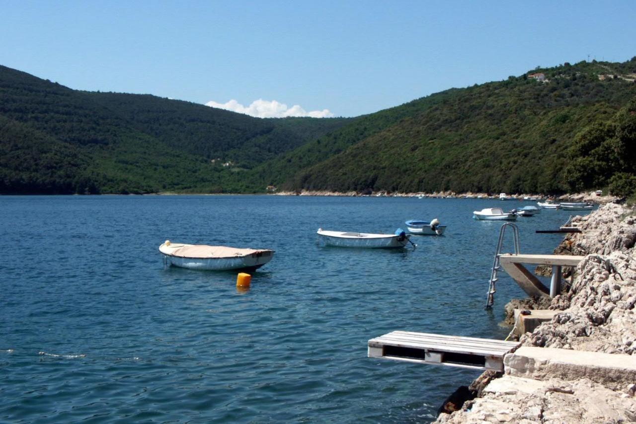 Apartments By The Sea Duga Luka - Prtlog, Labin - 2335 Экстерьер фото